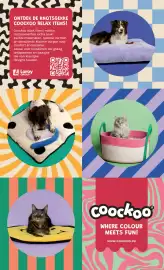 Tom&Co folder Pagina 4