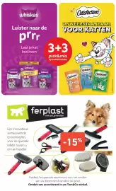 Tom&Co folder Pagina 6