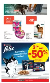 Tom&Co folder Pagina 7