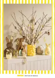 Xenos folder Pagina 26