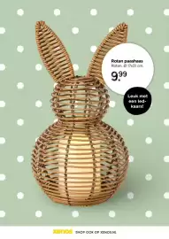 Xenos folder Pagina 29