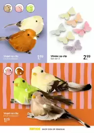 Xenos folder Pagina 8