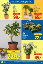 Lidl tilbudsavis Side 34