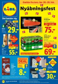 Lidl tilbudsavis Side 41
