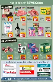 REWE Center Prospekt woche 9 Seite 3