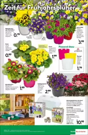 BayWa Prospekt woche 9 Seite 15