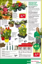 BayWa Prospekt woche 9 Seite 16