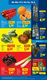 Lidl Prospekt woche 11 Seite 5