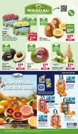 Wasgau Prospekt woche 9 Seite 6