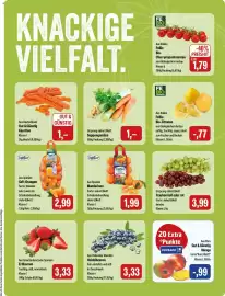 Feneberg Prospekt Seite 5