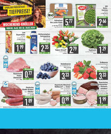 E-Center Prospekt Seite 20