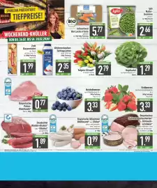 E-Center Prospekt Seite 20