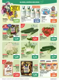 Aktiv Irma Prospekt woche 9 Seite 3