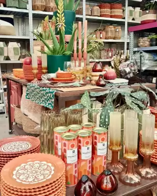 Eurotuin folder (geldig t/m 28-02)