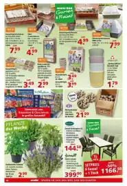 Multi Markt Prospekt woche 9 Seite 18