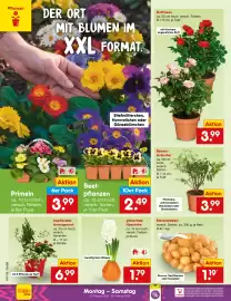 Netto City Prospekt woche 9 Seite 38