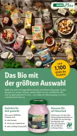 REWE City Prospekt woche 9 Seite 21