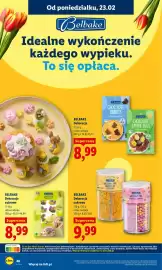 Lidl gazetka Strona 46