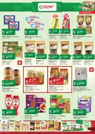 Delikatesy Centrum gazetka Strona 5