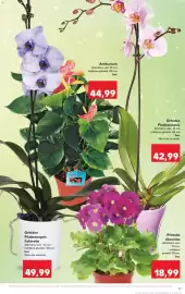 Catalog Kaufland săptămâna 9 Pagină 11