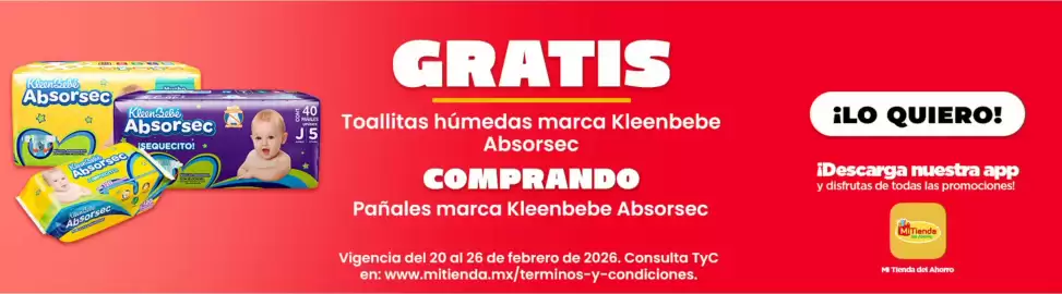 Folleto Mi Tienda del Ahorro Página 2