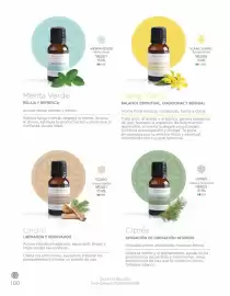 Catálogo Nice semana 9 Página 102