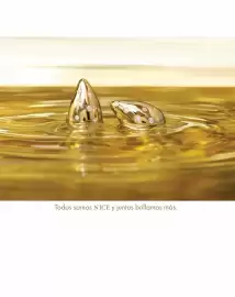 Catálogo Nice semana 9 Página 2