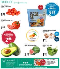 Askews Foods flyer week 9 Page 12