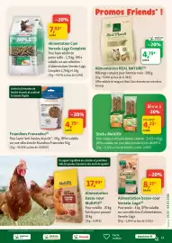 Catalogue Maxi Zoo semaine 9 page 11