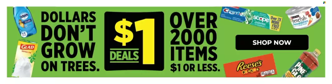 Dollar General weekly ad week 9 Page 2