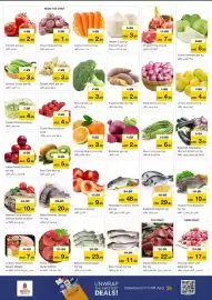 Nesto catalogue Page 2