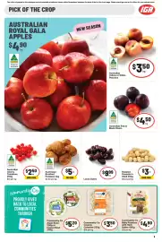 IGA catalogue week 9 Page 15
