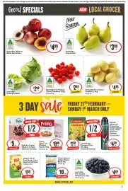 IGA catalogue week 9 Page 4