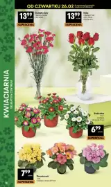 Delikatesy Centrum gazetka tydzień 9 Strona 38