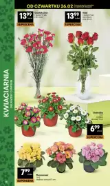 Delikatesy Centrum gazetka tydzień 9 Strona 38