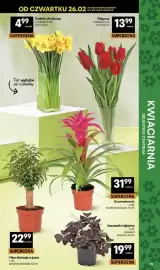 Delikatesy Centrum gazetka tydzień 9 Strona 39