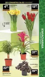 Delikatesy Centrum gazetka tydzień 9 Strona 39