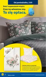 Lidl gazetka tydzień 10 Strona 10