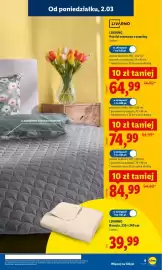 Lidl gazetka tydzień 10 Strona 11