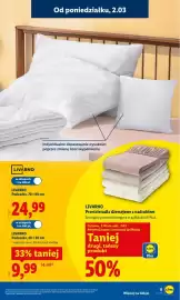 Lidl gazetka tydzień 10 Strona 13