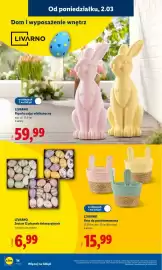 Lidl gazetka tydzień 10 Strona 16