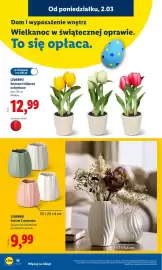 Lidl gazetka tydzień 10 Strona 18