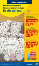 Lidl gazetka tydzień 10 Strona 9
