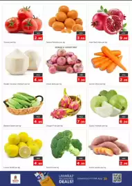 Nesto catalogue Page 2