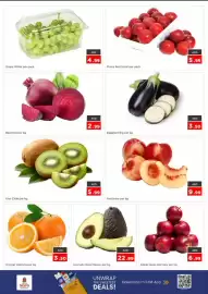 Nesto catalogue Page 3