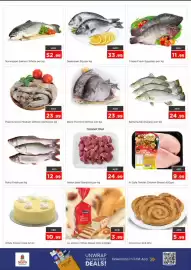 Nesto catalogue Page 4