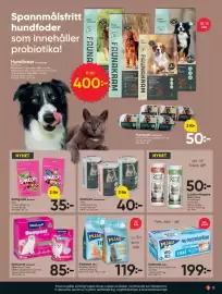 DollarStore annonsblad vecka 9 Sida 13