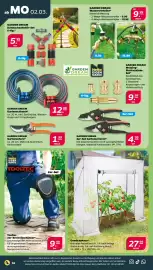 NETTO Prospekt woche 10 Seite 18