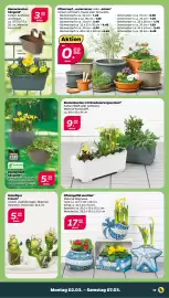 NETTO Prospekt woche 10 Seite 21