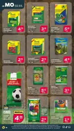 NETTO Prospekt woche 10 Seite 22